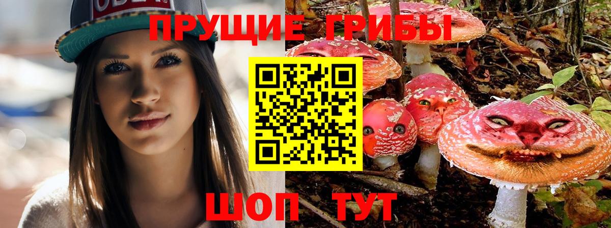 Галлюциногенные грибы мухоморы Новошахтинск